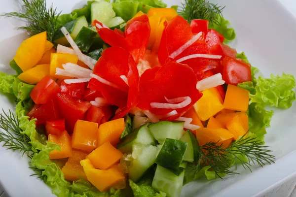 Effektiv vegetabilisk sallad — Stockfoto