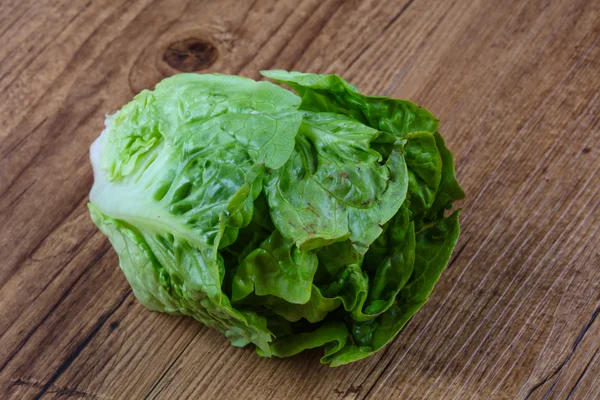 Fresh ripe Green salad — Stock Photo, Image