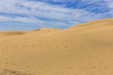 Kanarya çölde Gran Canaria ada