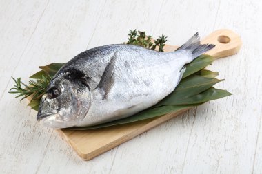 ham dorado balığı