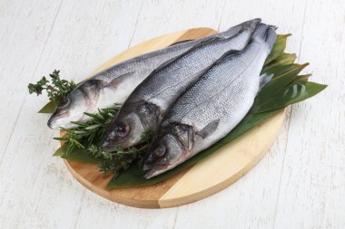 Çiğ deniz kabuğu balığı