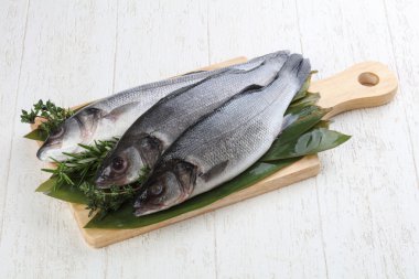 Çiğ deniz kabuğu balığı 