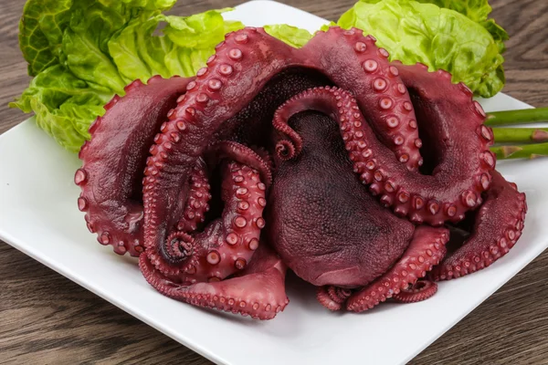 Köstlich gekochter Oktopus — Stockfoto