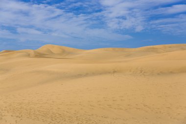 Kanarya çölde Gran Canaria ada