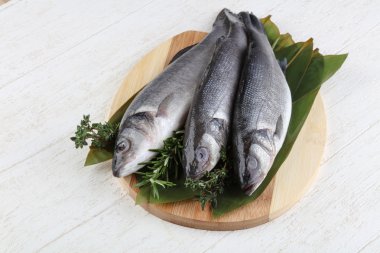 Çiğ deniz kabuğu balığı