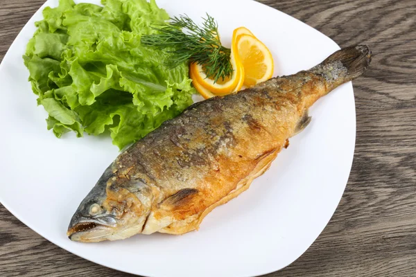 Grilled trout fish — Stock Photo, Image