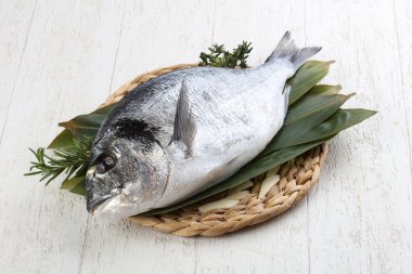 ham dorado balığı