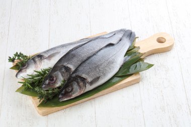 Çiğ deniz kabuğu balığı