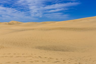 Kanarya çölde Gran Canaria ada