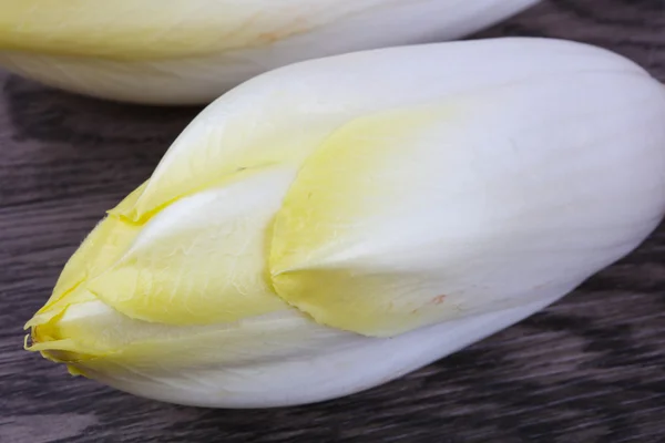 Chicorée de salade fraîche — Photo