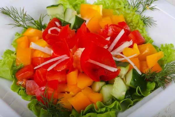 Effektiv vegetabilisk sallad — Stockfoto