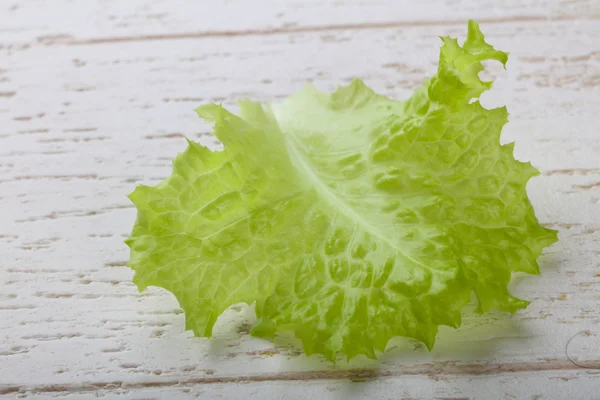 Fresh green Salad leaf — Stock Photo, Image