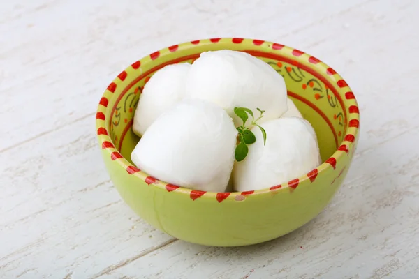 Lahodnou Mozzarella sýr — Stock fotografie