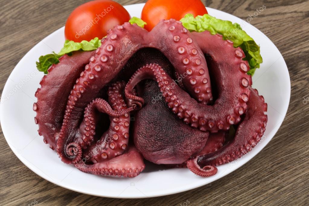 octopus eten