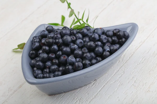 Fresh ripe Blueberry heap — Stock Photo, Image