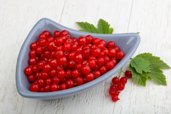 Fresh sweet Red currants — Stock Photo, Image