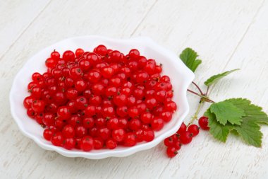 Taze olgun kırmızı kuş üzümü