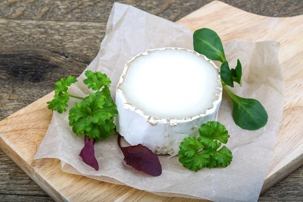 Goat cheese with white mold — Stock Photo, Image