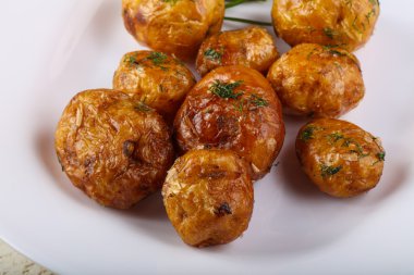 Genç fırında patates