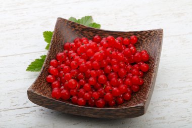 Taze olgun kırmızı kuş üzümü