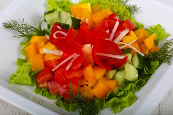 Effektiv vegetabilisk sallad — Stockfoto