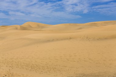 Kanarya çölde Gran Canaria ada