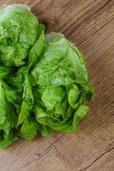 Frischer grüner Salat — Stockfoto