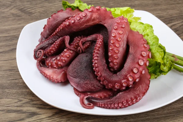 Boiled octopus ready for eat — Stock Photo, Image