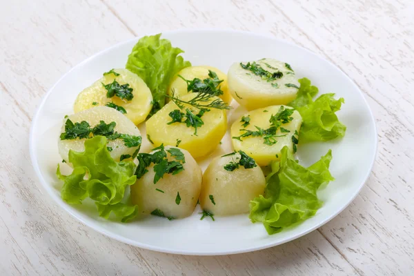 Young boiled potato — Stock Photo, Image