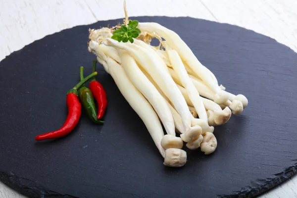 Japon mantar - enoki — Stok fotoğraf