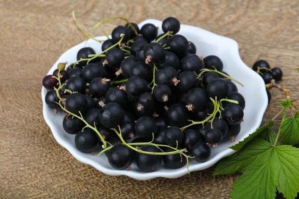 Siyah kuş üzümü yığın