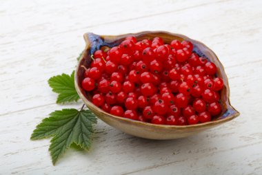 yaprakları ile kırmızı kuş üzümü