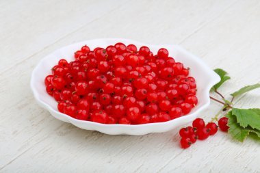 yaprakları ile kırmızı kuş üzümü