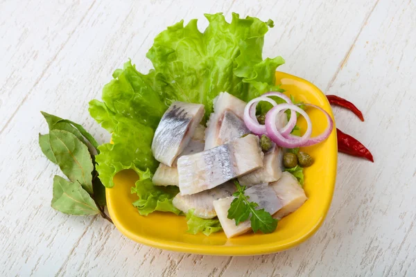 Herring fillet served onion — Stock Photo, Image