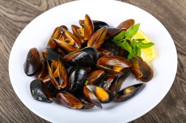 Maydanoz ile haşlanmış midye