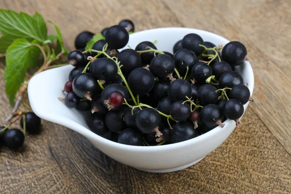 Siyah kuş üzümü yığın