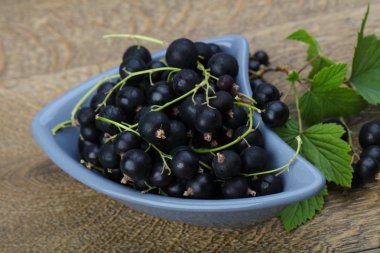 Siyah kuş üzümü yığın