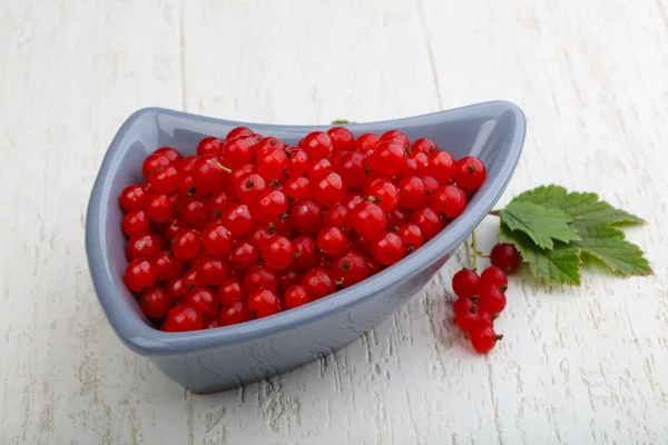 Fresh ripe Red currants — Stock Photo, Image