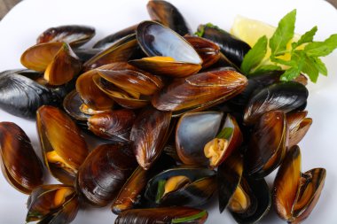 Lezzetli haşlanmış midye