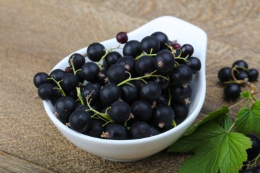 Siyah kuş üzümü yığın