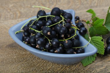 Siyah kuş üzümü yığın