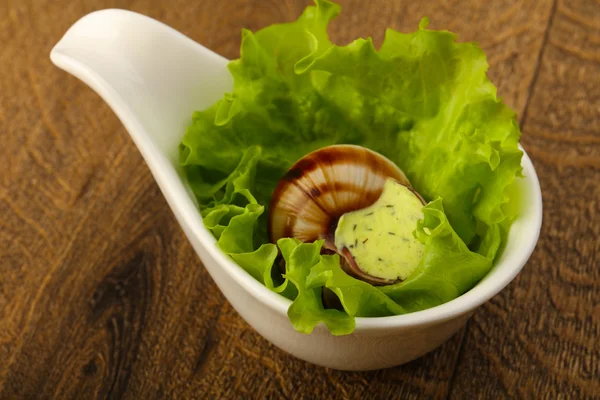 치즈와 함께 맛 있는 Escargot — 스톡 사진