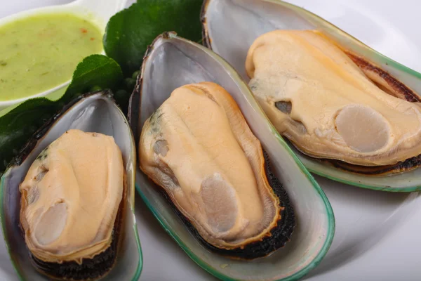 New Zealand Mussels — Stock Photo, Image