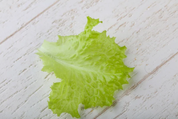 Fresh Salad leaf — Stock Photo, Image