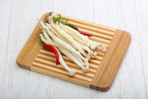 Japon mantar - enoki — Stok fotoğraf