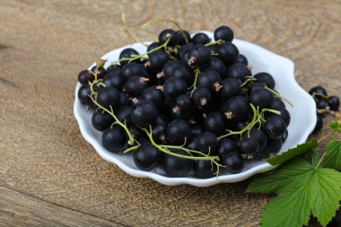 Siyah kuş üzümü yığın