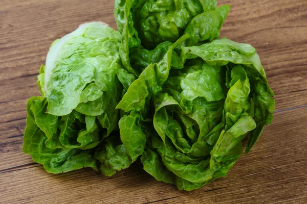 Fresh Green salad — Stock Photo, Image