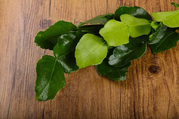 Kafir lime leaves — Stock Photo, Image