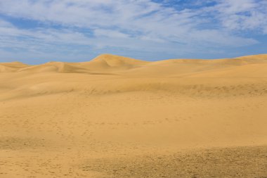 Kanarya çölde Gran Canaria ada