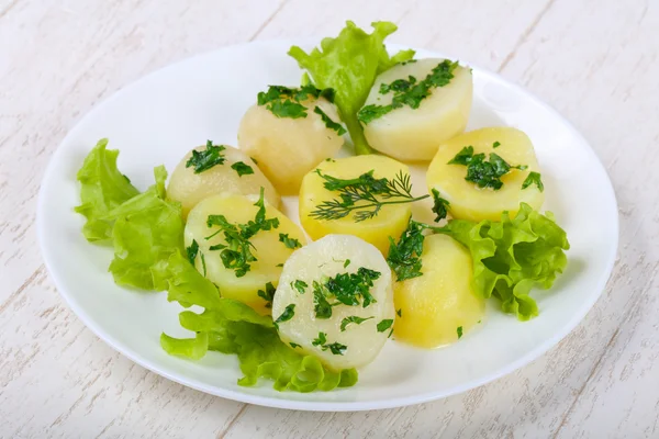 Young boiled potato — Stock Photo, Image